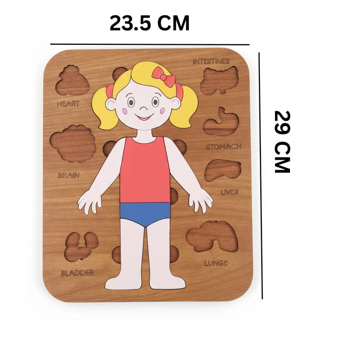لعبة تعليم أعضاء الجسم للأطفال 5–12 سنة – Montessori Anatomy Puzzle ( Girl )