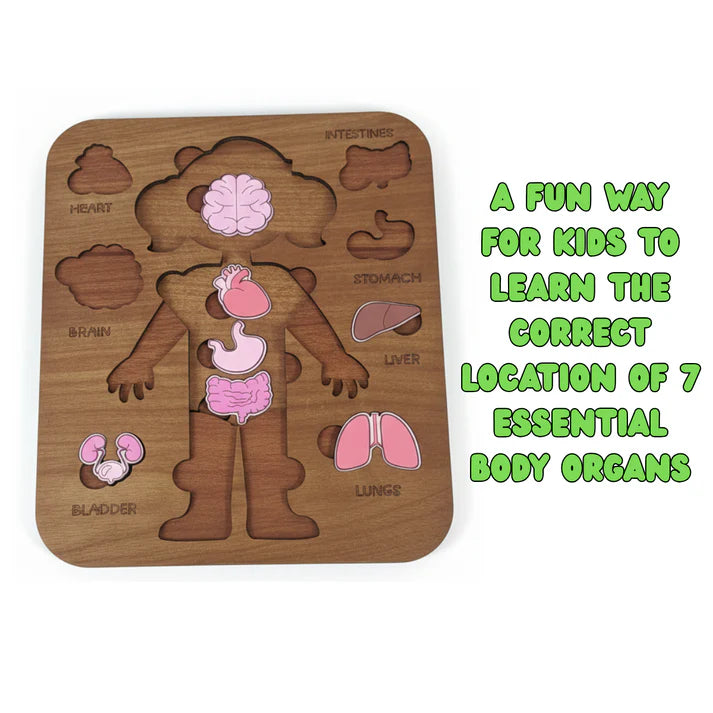 لعبة تعليم أعضاء الجسم للأطفال 5–12 سنة – Montessori Anatomy Puzzle ( Girl )