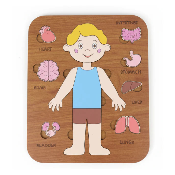 لعبة تعليم أعضاء الجسم للأطفال 5–12 سنة – Montessori Anatomy Puzzle (Boy)