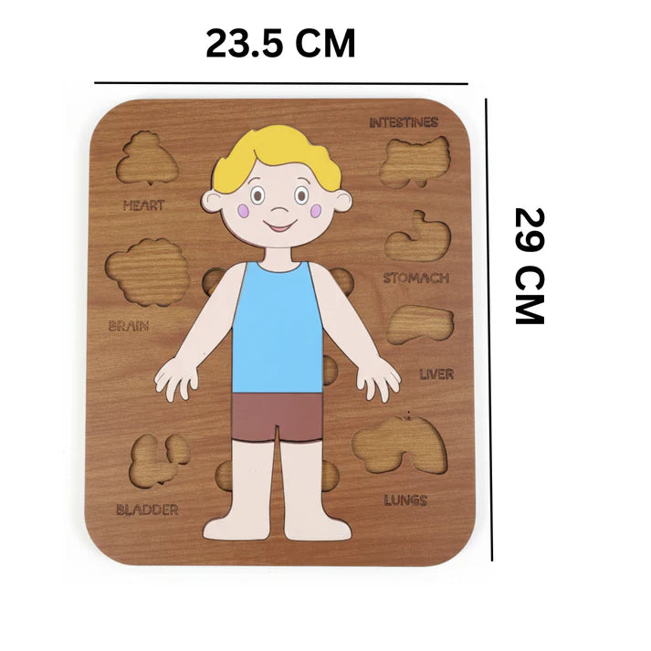 لعبة تعليم أعضاء الجسم للأطفال 5–12 سنة – Montessori Anatomy Puzzle (Boy)