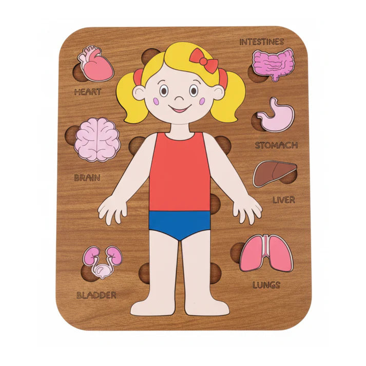 لعبة تعليم أعضاء الجسم للأطفال 5–12 سنة – Montessori Anatomy Puzzle ( Girl )